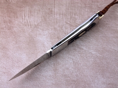 Custom Knife by Ron Lake
